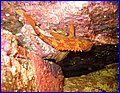 IMG_9651.JPG