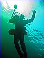 IMG_9679.JPG