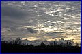 IMG_2951.JPG