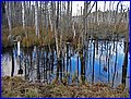 IMG_2994.JPG