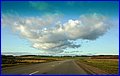 IMG_3003.JPG