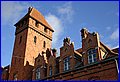 IMG_3015.JPG