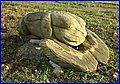 IMG_3022.JPG