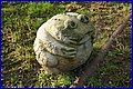 IMG_3025.JPG