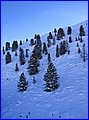 IMG_4464.JPG