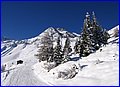 IMG_4467.JPG
