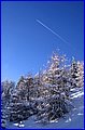 IMG_4469.JPG