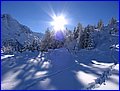 IMG_4470.JPG