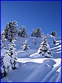 IMG_4471.JPG