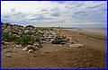 _MG_1605.JPG