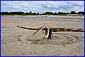_MG_1614.JPG