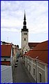 _MG_1648.JPG