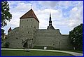 _MG_1656.JPG