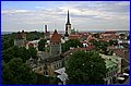 _MG_1674.JPG