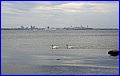 _MG_1750.JPG