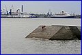 _MG_1781.JPG