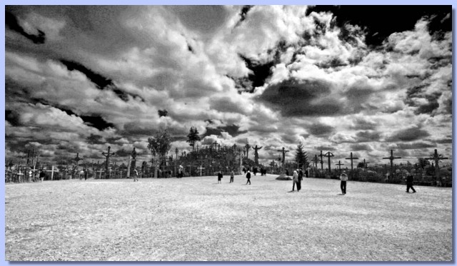 _MG_1810 copy.jpg
