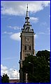 _MG_1803.JPG