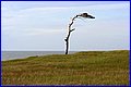 _MG_2009.JPG