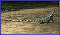_MG_2495.JPG