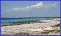 _MG_2627.JPG
