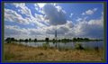_MG_4800.jpg