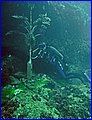 059.jpg