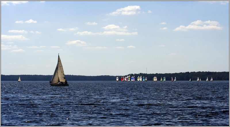 _MG_5677.JPG