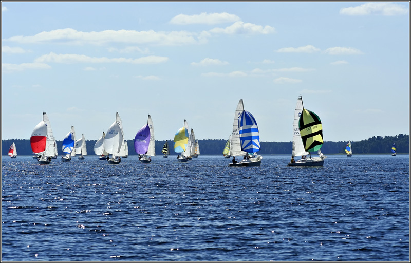 _MG_5698.JPG
