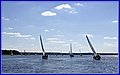 _MG_5619.JPG