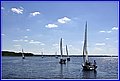 _MG_5630.JPG