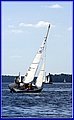 _MG_5645.JPG