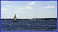 _MG_5677.JPG