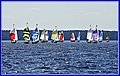 _MG_5690.JPG