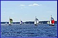_MG_5768.JPG