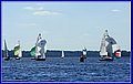 _MG_5786.JPG
