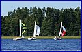 _MG_5796.JPG