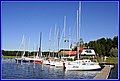 _MG_5841.JPG