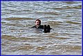 IMG_3150.JPG