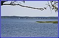_MG_6114.JPG