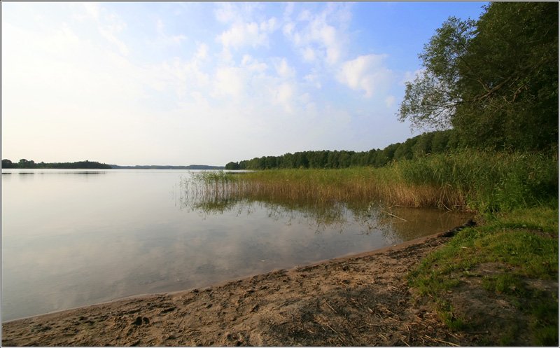 _MG_6429.JPG