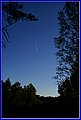 _MG_6593.JPG