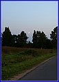 _MG_6754.JPG