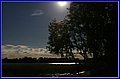 _MG_6768.JPG