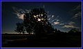 _MG_6785.JPG