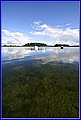 _MG_6806.JPG