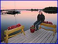 IMG_6910.jpg