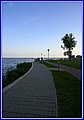 _MG_6991.JPG