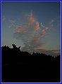 _MG_7010.jpg