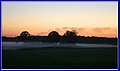 _MG_7163.JPG